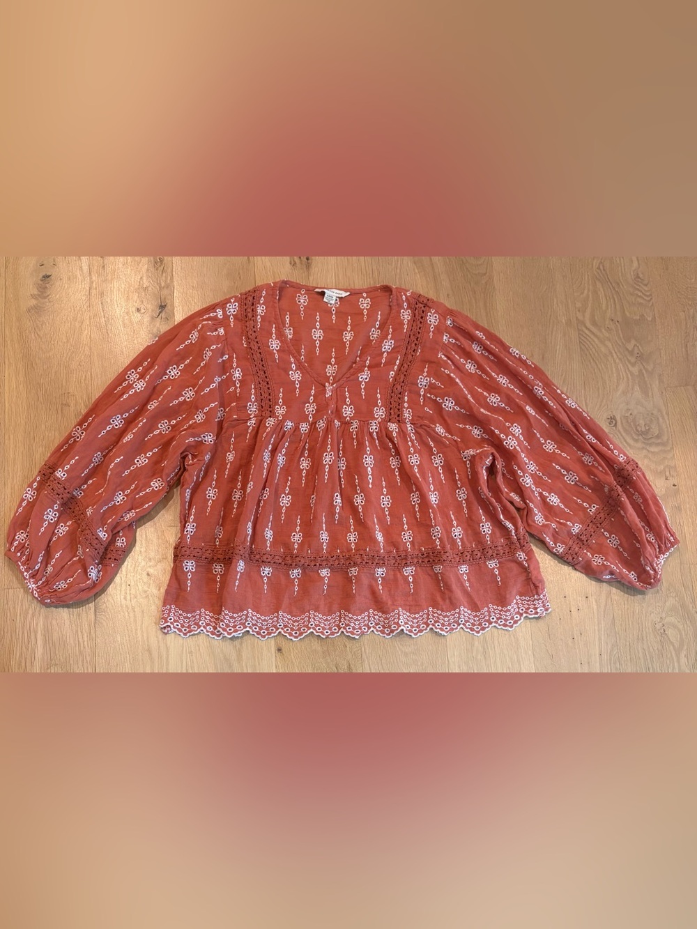 American Eagle Outfitters Rust Orange Embroidered V-Neck Peasant Blouse